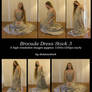 Brocade Dress Pack 3