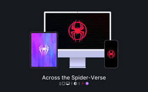 Across the Spider-Verse - Wallpapers