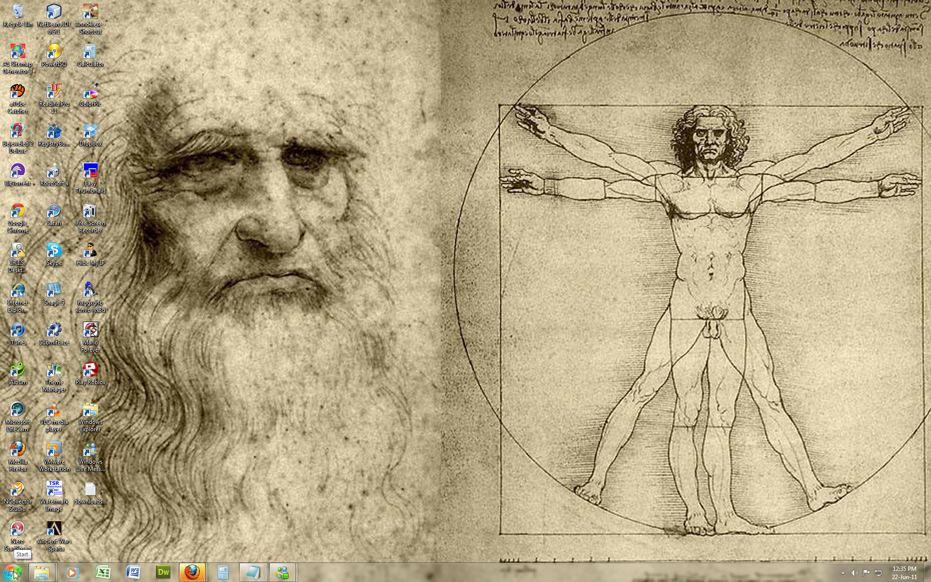 Leonardo da Vinci -Win 7 Theme