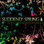 gvl - Suddenly Spring brushes