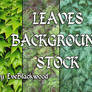 leaves texture backgrounds