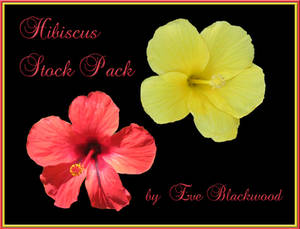 hibiscus_flower_stock_pack