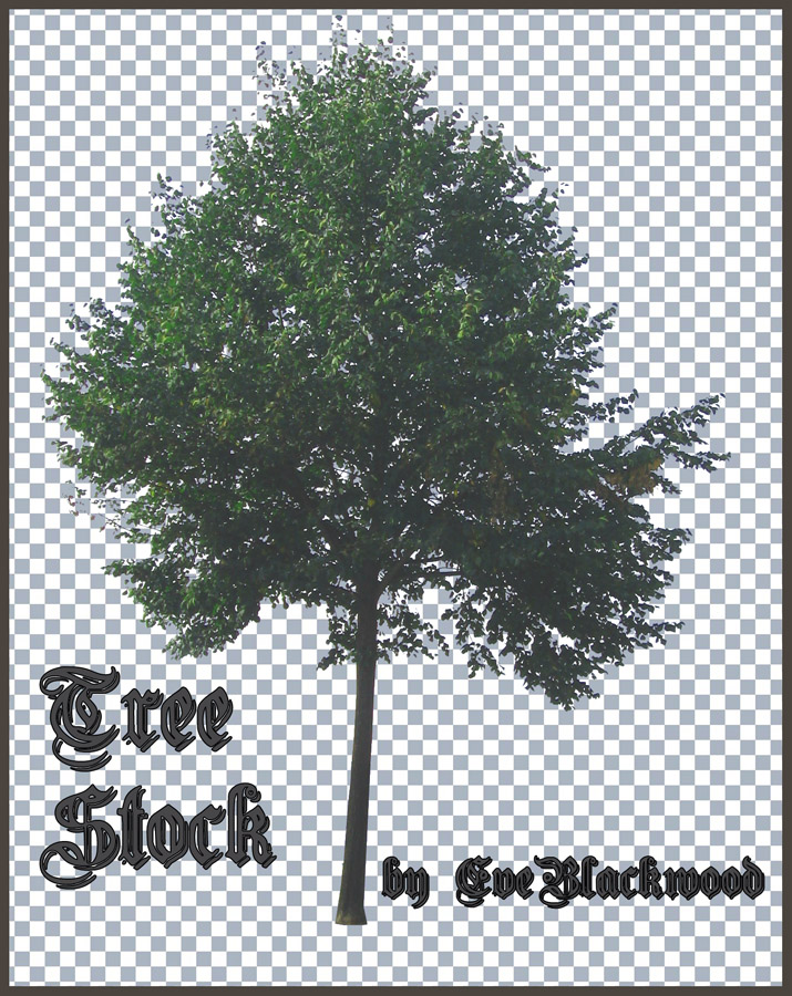 tree_brush_and_image