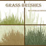 grass plant brushes