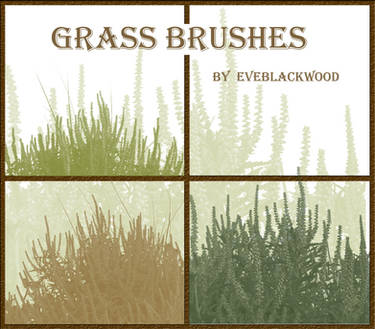 grass plant brushes