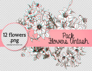 Pack flowers.png