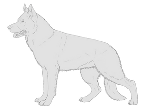 German Shepherd free line art