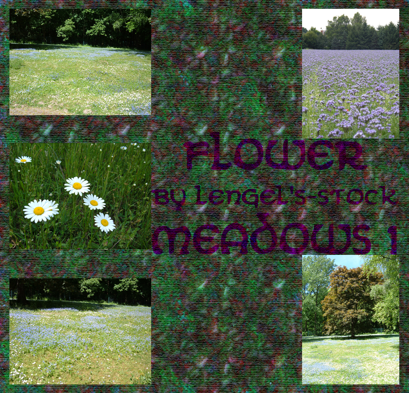 Flower Meadows Pack I