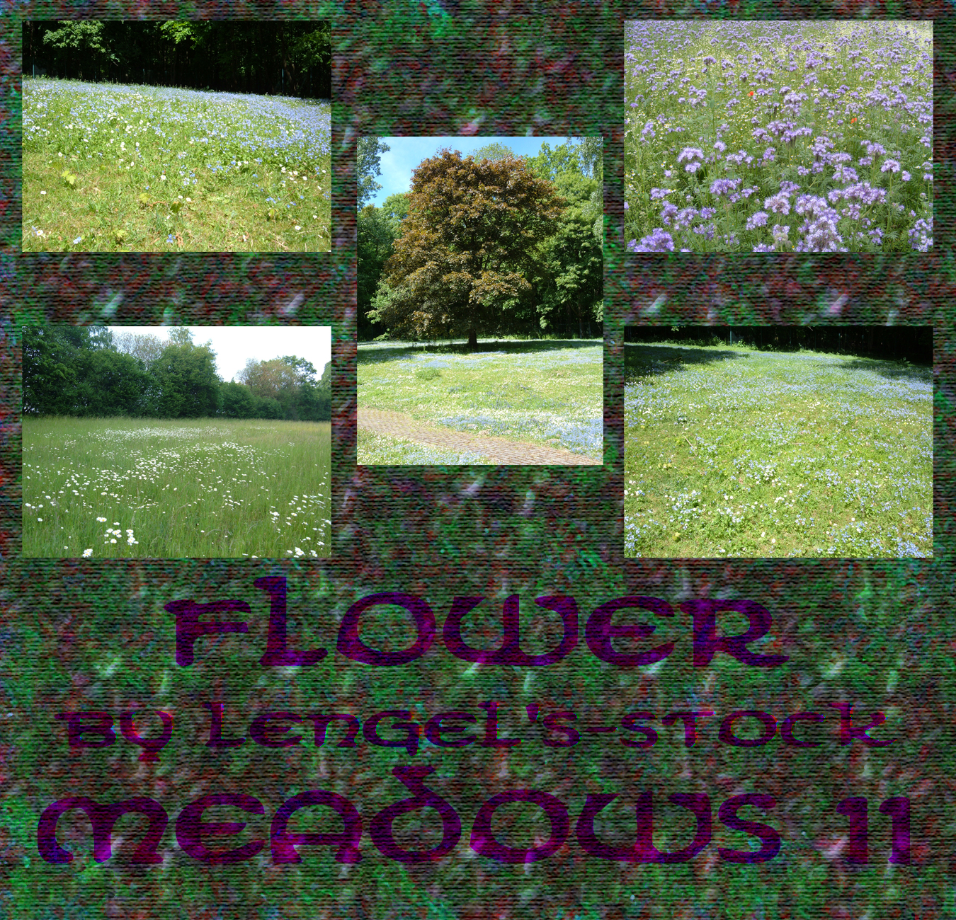 Flower Meadows Pack II