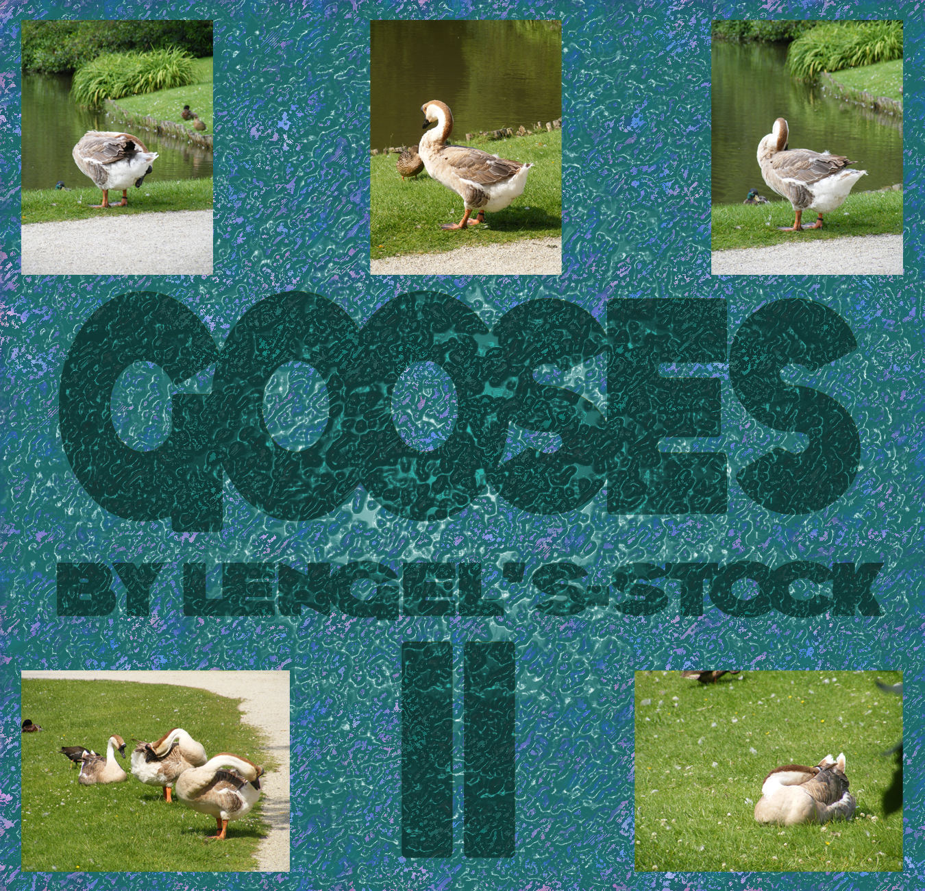 Gooses Pack II