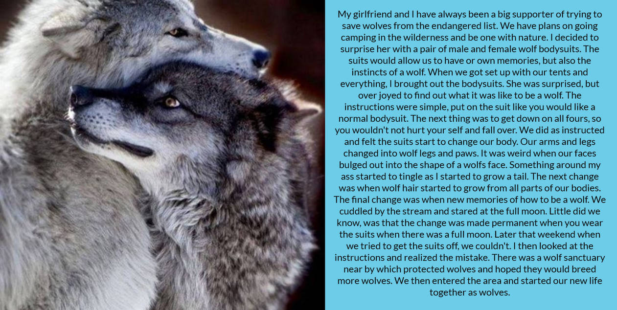 Wolf Bodysuits by tgmagic on DeviantArt