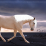 Capricus Custom - Horse Pic