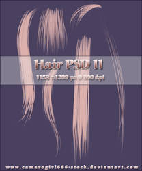 Hair PSD II