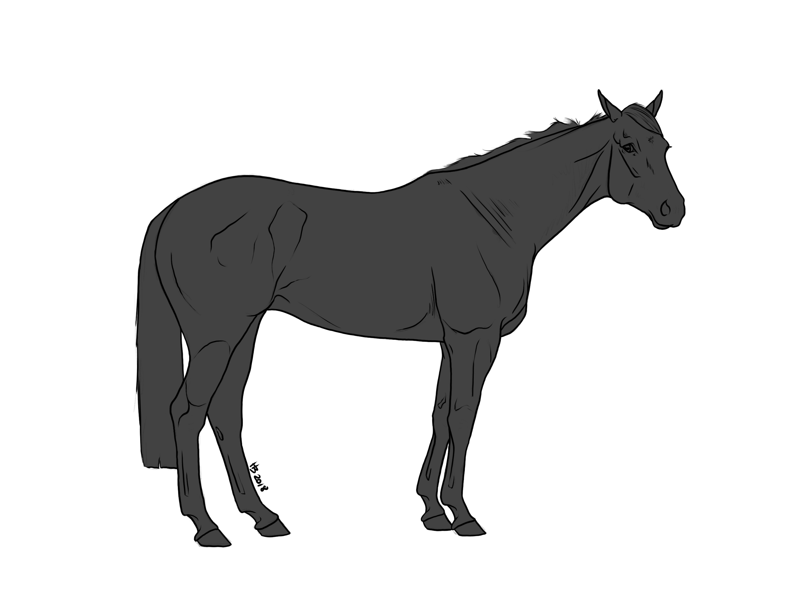 TB Lineart for Use by thunderjam12 on DeviantArt