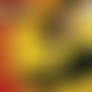 January 26 Calendar slideshow