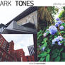 Dark Tones