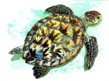 Sea Turtle