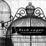 Bird cages ConvergedPixels