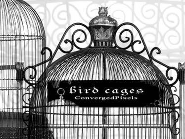 Bird cages ConvergedPixels