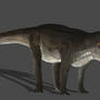 DINO PRESTOSUCHUS ORIGINAL BONES