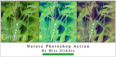 Nature Photoshop Action