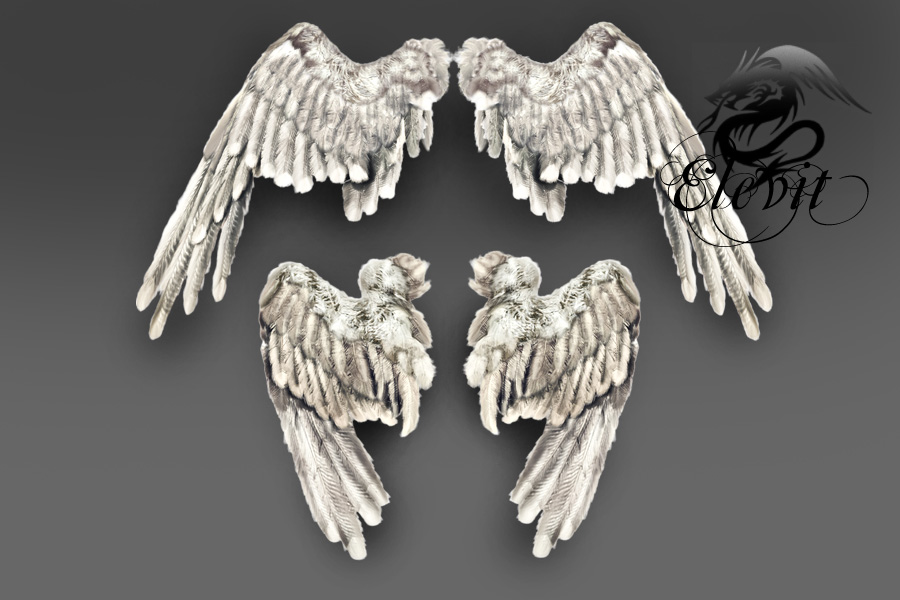 E-S Wings