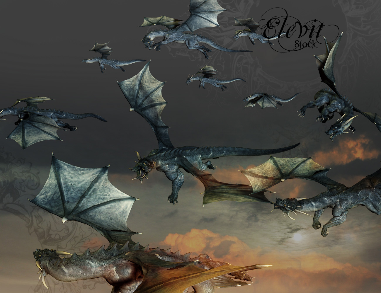 E-S Dragon flying by Elevit-Stock
