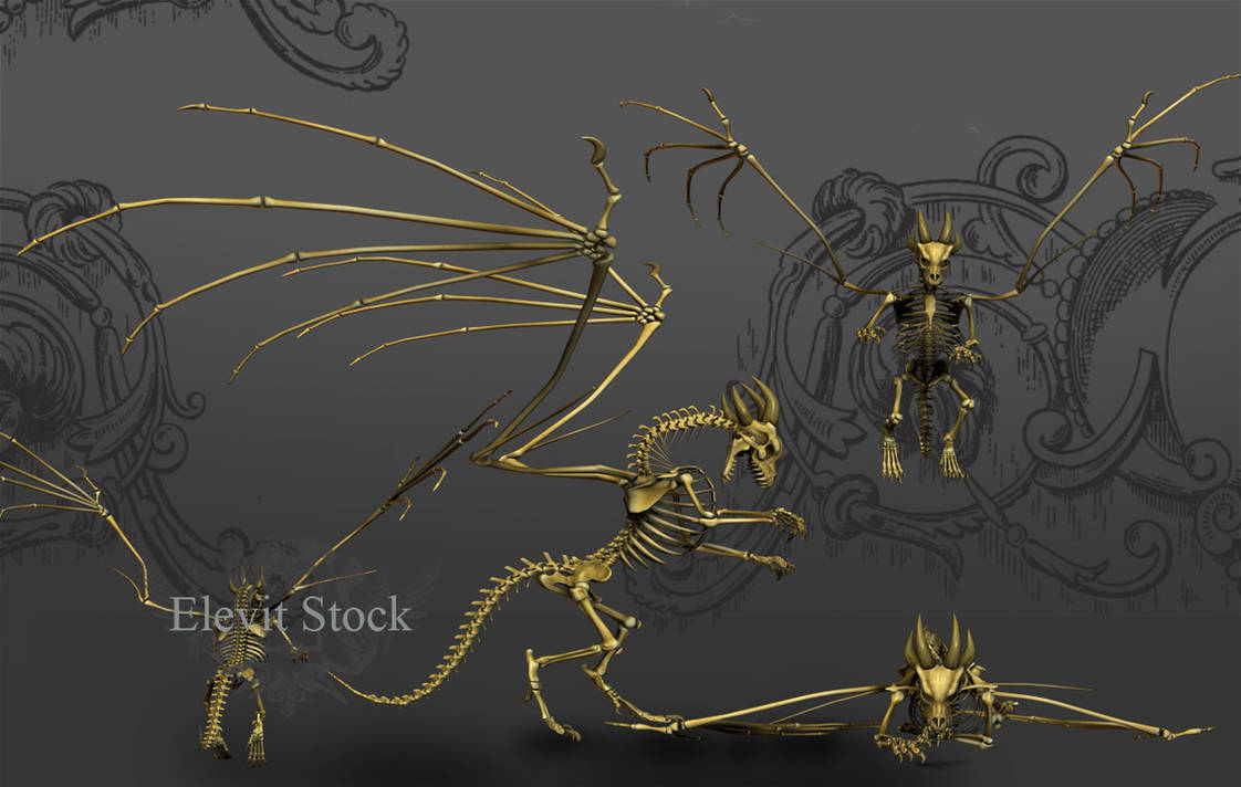 E-S Bones II by Elevit-Stock