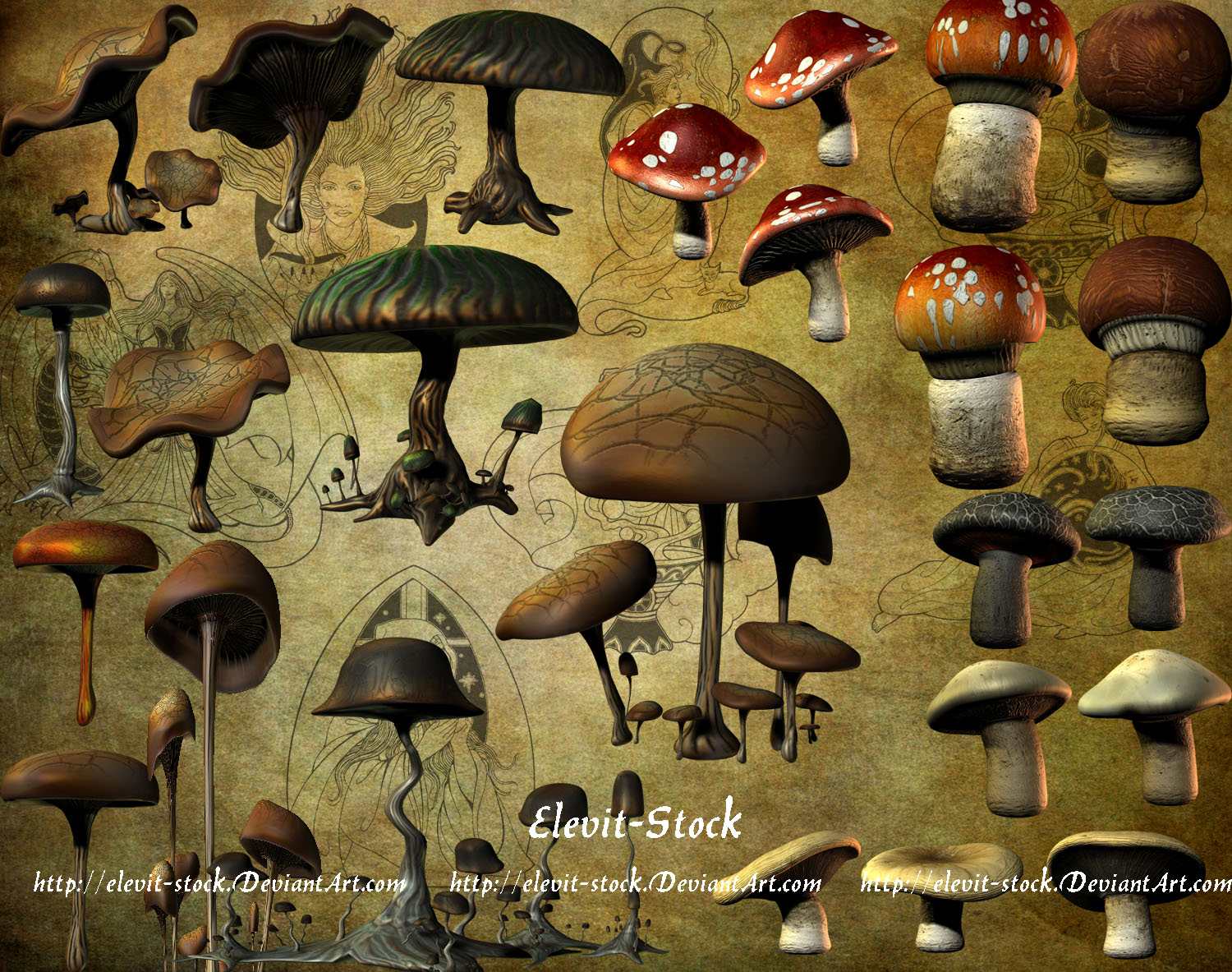 E-S Mushrooms