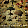 E-S Mushrooms