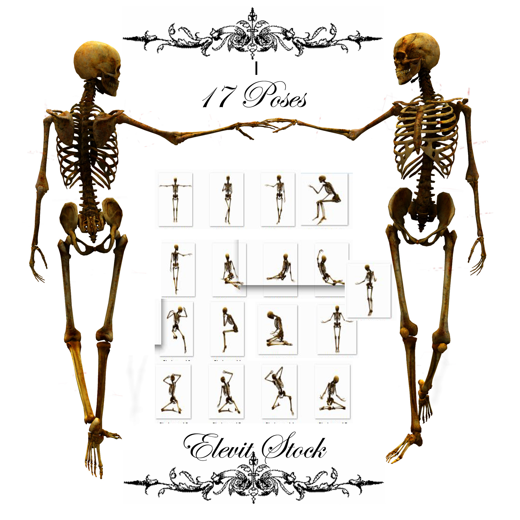 E-S Bones I by Elevit-Stock