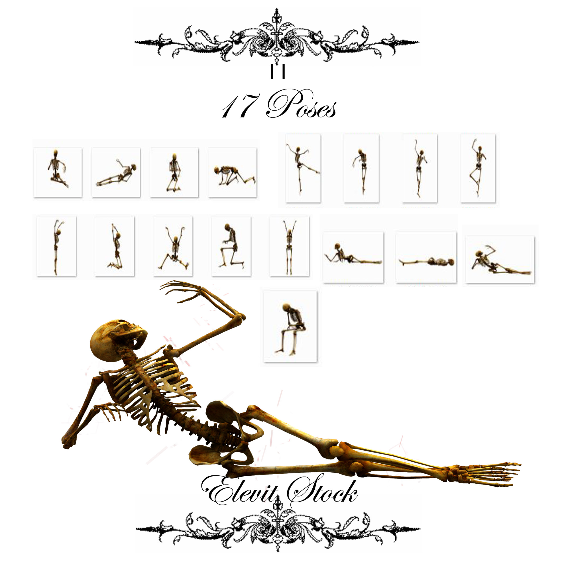 E-S Bones II by Elevit-Stock