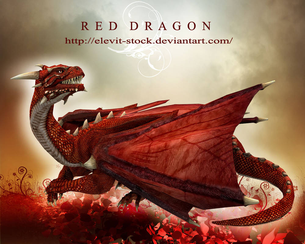 E-S Red Dragon II by Elevit-Stock