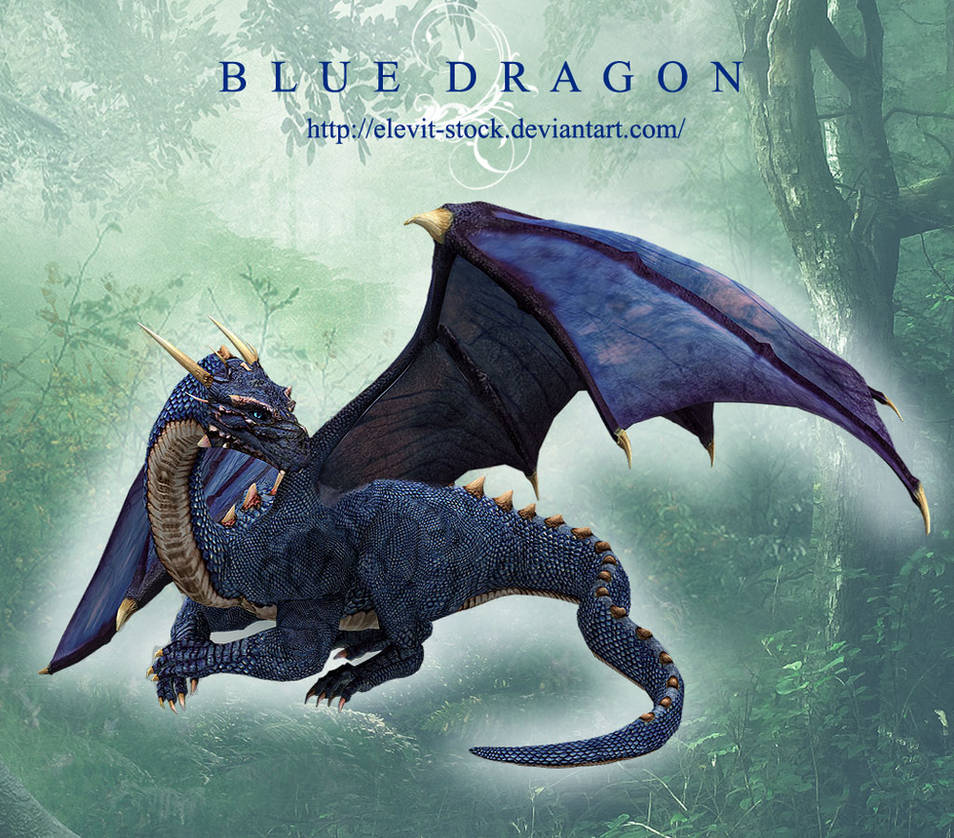 E-S Blue Dragon by Elevit-Dragon-Stock