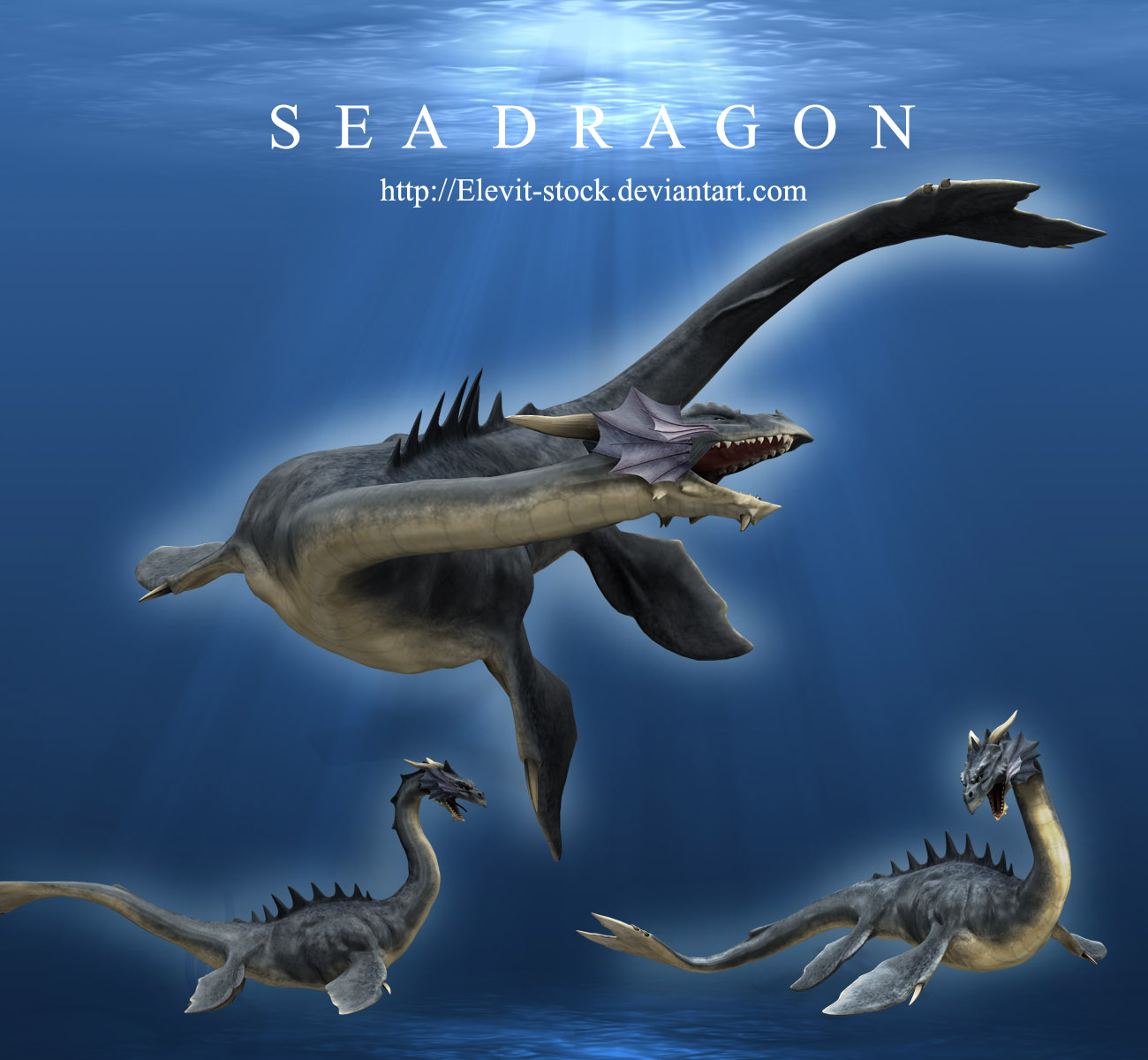 Sea Dragon