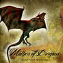 E-S little Dragon IV
