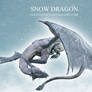 E-S Snow Dragon