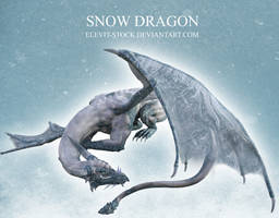 E-S Snow Dragon