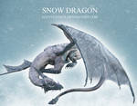 E-S Snow Dragon