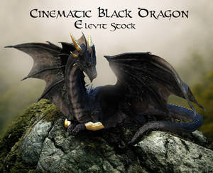 E-S-Cinematic  Black Dragon (free)