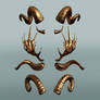 Golden ornamens horns3