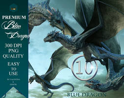 10 Blue dragon