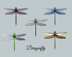 E-S Dragonfly