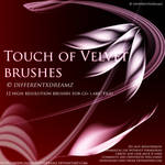 Touch of Velvet Brushes