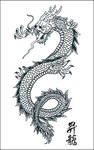 Japanese Dragon Vector Art by SamuraiAgency