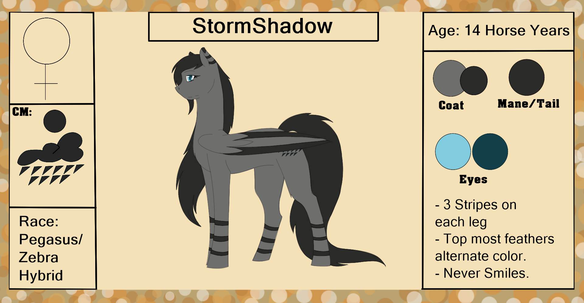 StormShadow {Reference Sheet +Bio}