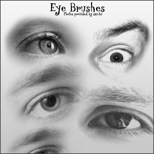 8 Eye Brushes