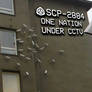 SCP-2884 - One Nation Under CCTV