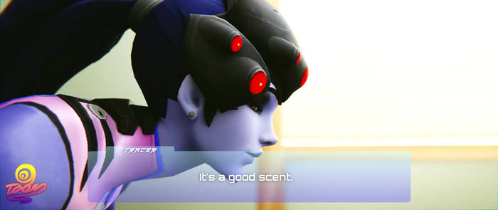 A superior ass