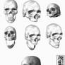 Seven Skulls